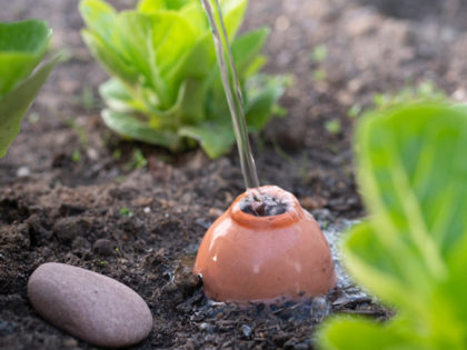 l'eau en train de couler dans une oyas pour un jardin durable