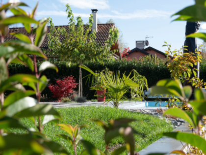 jardin avec des plantations autour d'une piscine