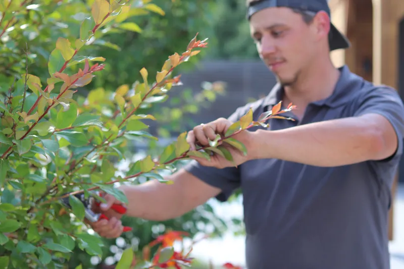 paysagiste-annecy-amenagement-exterieur-id-jardins-entretien-espaces-verts