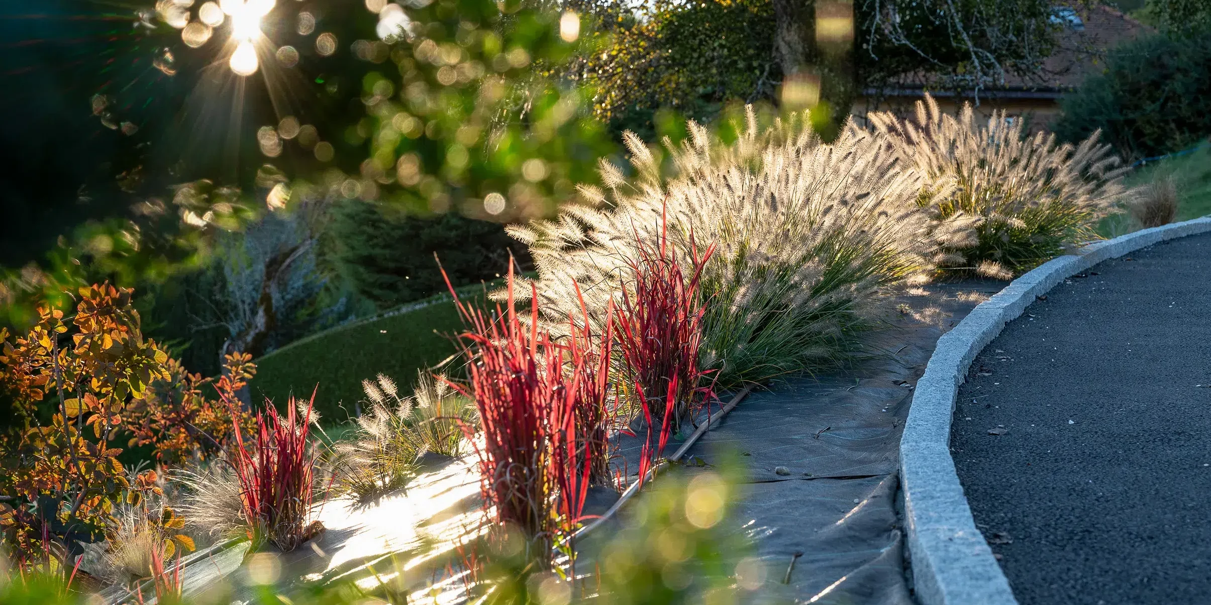 choisir-plantes-adaptees-haute-savoie-idjardins-paysagiste (3) choisir-plantes-adaptees-haute-savoie-idjardins-paysagiste (3)