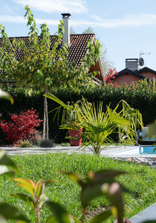 jardin avec plantations autour d'une piscine